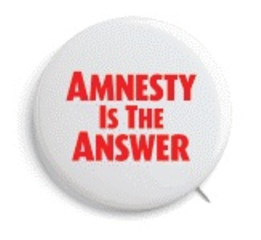 1987-88 Amnesty Program