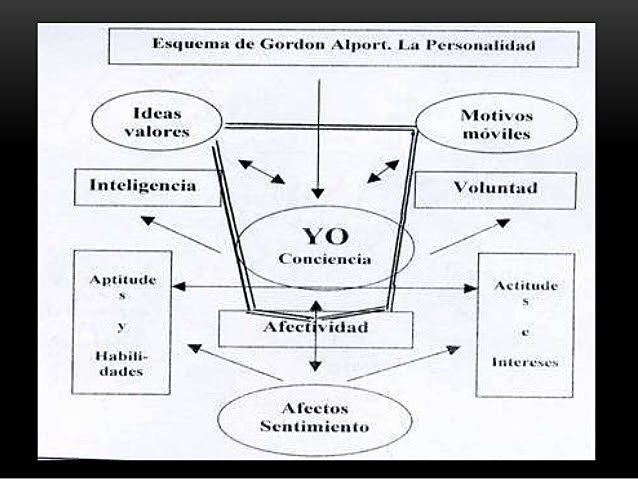 El self o el propium y sus siete funciones referentes a sus tipos de rasgos