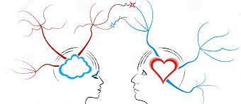 Organización de los aportadores y estudiosos de la psicología como disciplina. de la conducta.