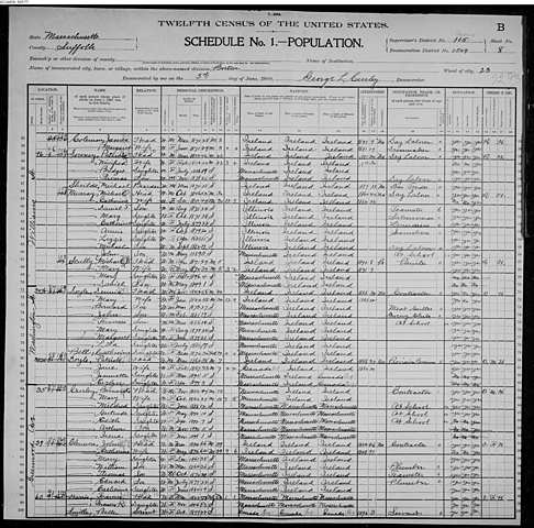 1900 Census Dennis and Patrick Doyle Families