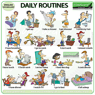 Timeline: Daily routine - present simple