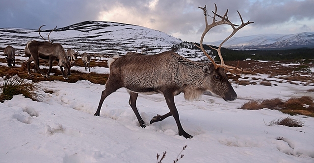 CAMBIAMENTO CLIMATICO