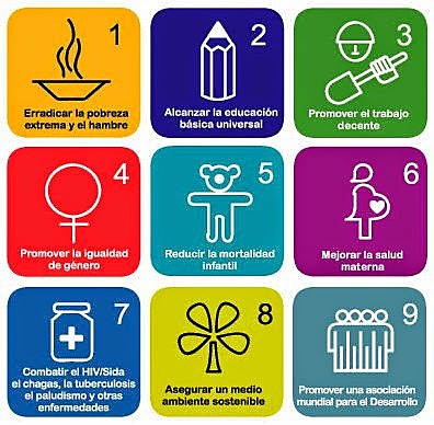 Las  Metas  del  Milenio