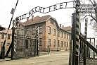 LIBERACION AUSCHWITZ