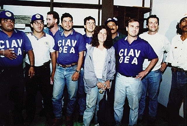 Conformación de la CIAV