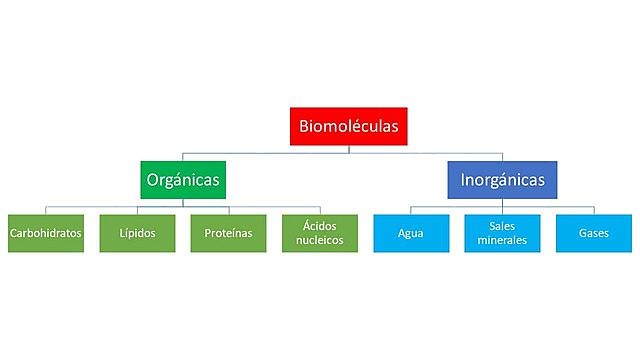 Clasificación De Moléculas