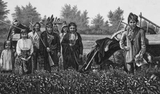 Métis in the red river valley.