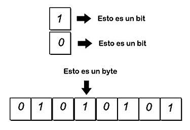 BIT Y BYTE