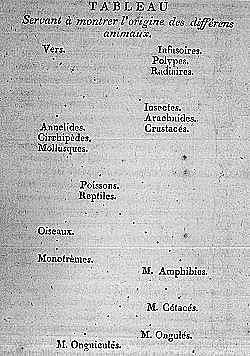 Filosofía Zoológica.