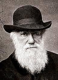 ¿Qué es la evolución? Darwin.