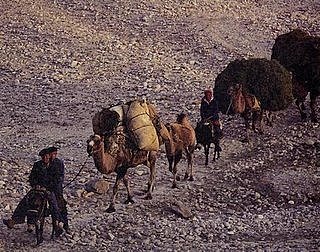 La Ruta de la Seda fue cortada.