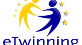 Timeline: პროექტის აქტივობები