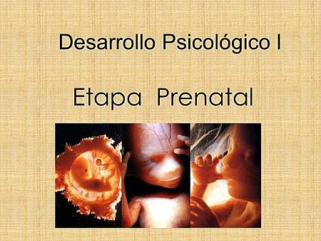 ETAPA PRENATAL