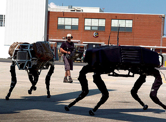 Costituzione della Boston Dynamics