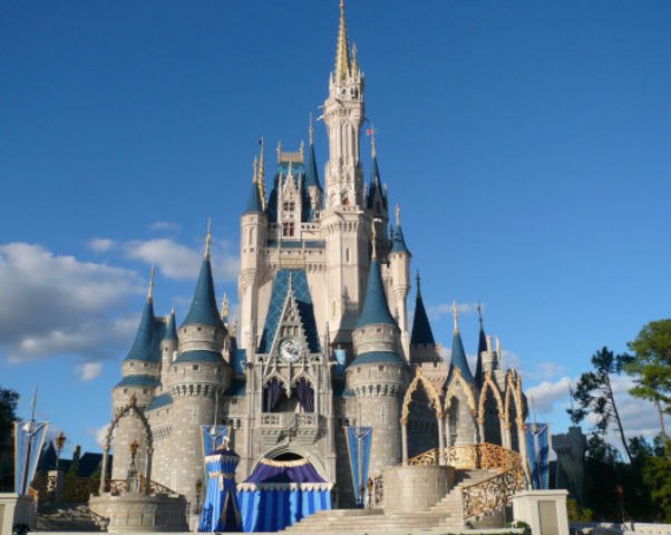 Trip to Disney World