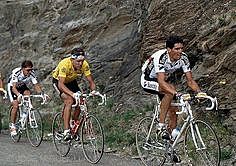 campeon 1990 españa