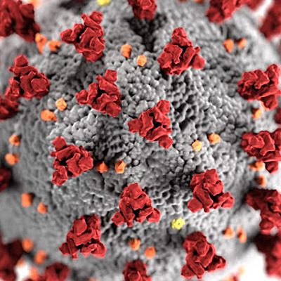 Timeline: Progresión CoVid-19