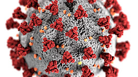 Timeline: Progresión CoVid-19