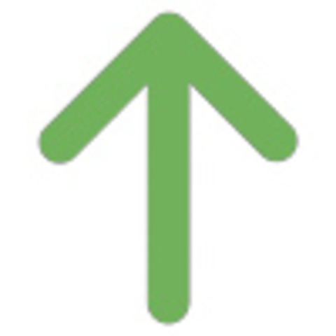 Rising back from the troubling times