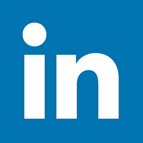 Se lanza LinkedIn