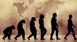 Timeline: Posturas de la evolución