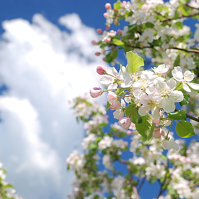 Timeline: Жизненный путь моей мамы