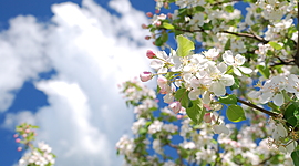 Timeline: Жизненный путь моей мамы