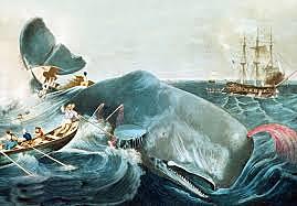 MOBY DICK "Herman Melville"