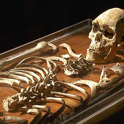 Timeline: How long ago did Narrabeen Man die?