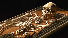 Timeline: How long ago did Narrabeen Man die?