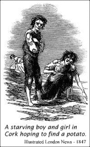 Potato Famine/Great Famine