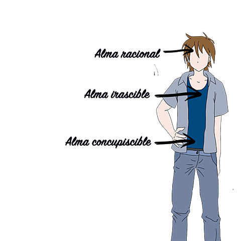 Platón - Alma individual