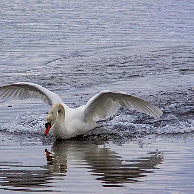 Timeline: Οι περίοδοι της Νεοελληνικής Λογοτεχνίας