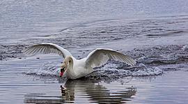 Timeline: Οι περίοδοι της Νεοελληνικής Λογοτεχνίας