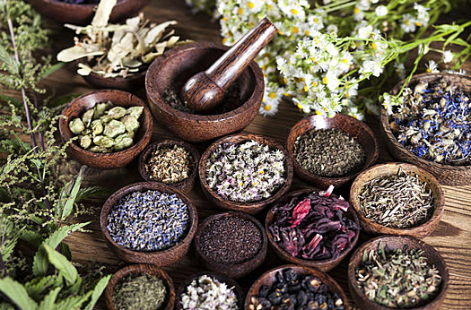 Reconocimiento de medicina tradicional indígena