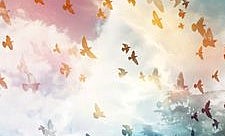 Las Aves y los Peces