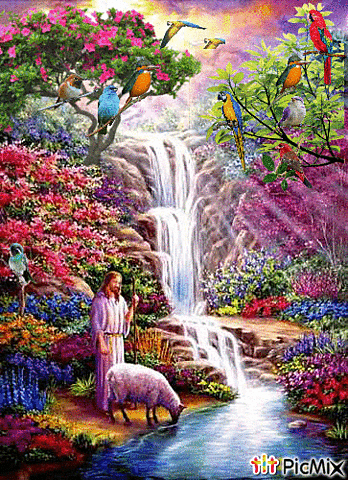 Los animales y el Hombre