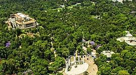 Timeline: Chapultepec forest before and now