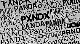 Timeline: The story behind pxndx