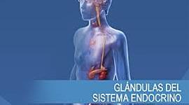 Timeline: LOS AVANCES DEL SISTEMA ENDOCRINO