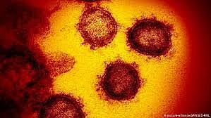 Un nuevo tipo de corona virus (COVID-19)