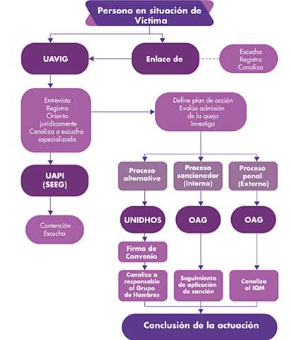 Protocolo en materia de Violencia de Género