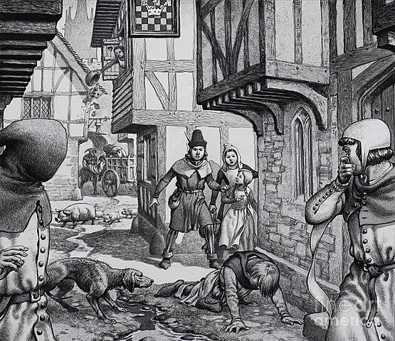 LA PESTE NEGRA DE EUROPA