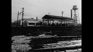 Importancia Industrial