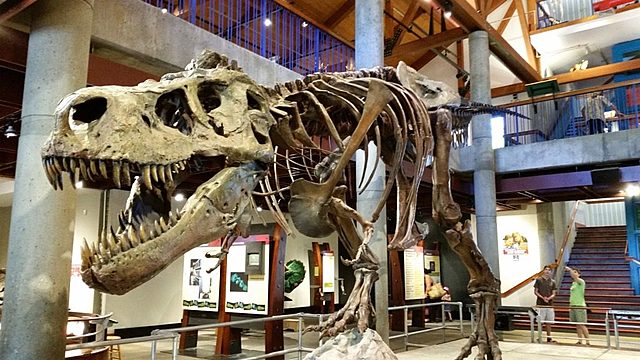 IB Science Expeditions