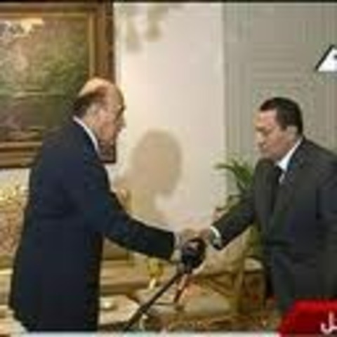 29 January: Suleiman appointed vice-president