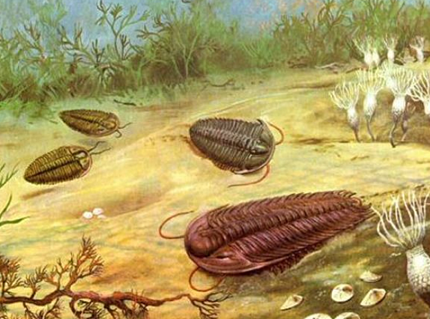 540 millions of years ago