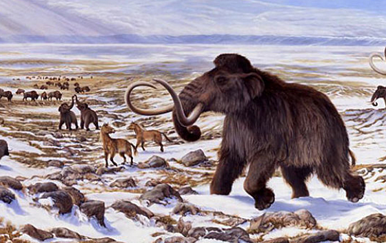 40 thousand of years ago