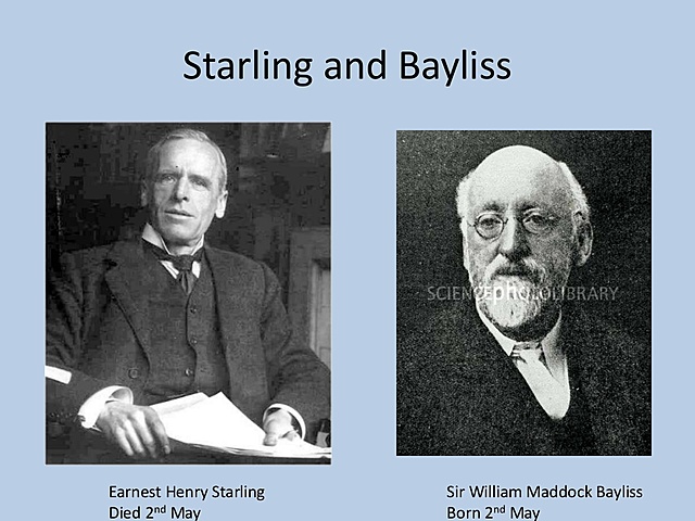Baylis  y Starling, estudiaron la hormona del páncreas.