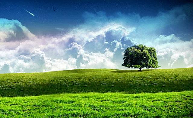 Tema 1: ¿Por qué la filosofía es ciencia?